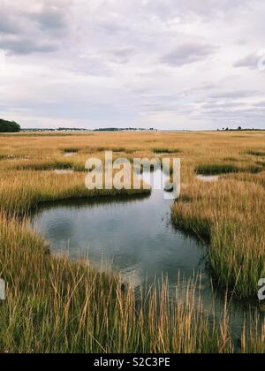 Landschaft einer schönen Salzwiesen im Herbst in Madison, Connecticut, USA. Stockfoto