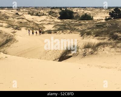 Eine Gruppe von Touristen, die Tour in Oleshky Sands, Ukraine Stockfoto