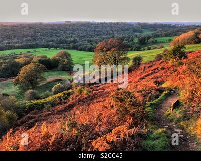 Blick auf einen Weg, den Garth Mountain gegen Pentyrch, am frühen Morgen, Oktober, Cardiff, South Wales. Stockfoto