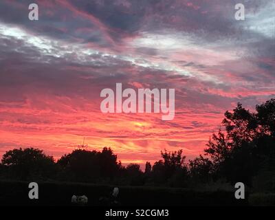 Den schönsten Sonnenuntergang aus meinem Garten, die ich je in Sutton Surrey Sommer 2018 (1) Stockfoto