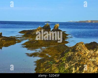 Meerblick bei Bull Bay Anglesey, 21. Mai 2018 Stockfoto