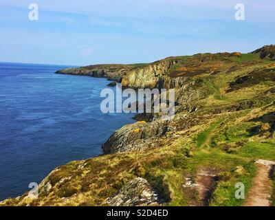 Coastal Path bei Bull bay Anglesey, 21. Mai 2018 Stockfoto