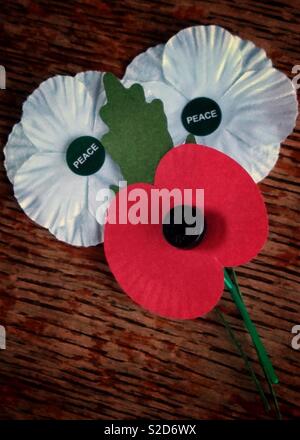 Tag der Erinnerung weiß Frieden Mohnblumen und roten British Legion Poppy. Stockfoto