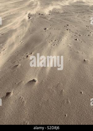 Wind, Sand über Kieselsteine am Strand in Edinburgh Stockfoto