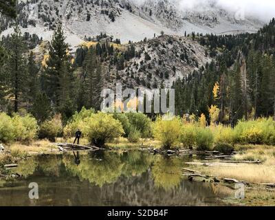 Wanderer auf der Suche nach Reflexion an Lundy See in der östlichen Sierra Nevada, Kalifornien. Aspen und Kiefern sind im Herbst Farben gehüllt. Stockfoto