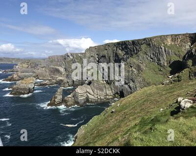 Mizen Head Irland Cliffs Stockfoto