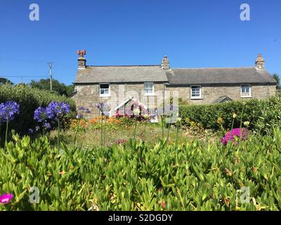 Cottage Garden - kleine Steinhäuser Häuser auf Tresco, Isles of Scilly Stockfoto