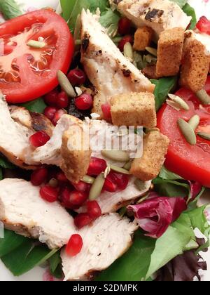 Nahaufnahme von einem nahrhaften Herbst Salat von Granatapfel Samen, Spinat, Hähnchenteile, Tomatenscheiben und frisch gebackene Croutons, USAA Stockfoto