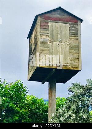 Baumhaus mit Blick auf den Strand und das Meer. Stockfoto