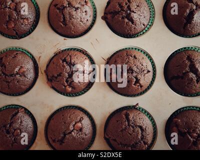 Flach Detailansicht Dutzend hausgemachte gebackene Zucchini muffins Schokolade in einem Metall Muffin Pan Stockfoto