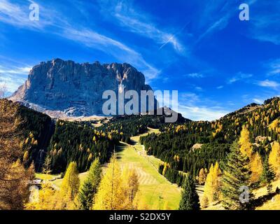 Blick auf den Langkofel, die Sie aus Wolkenstein Gröden, Südtirol, Norditalien, Europa, Lärchen im Herbst Farben Stockfoto