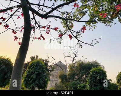 Eine schöne Landschaft von lodhi Gartenlandschaft, Neu Delhi, Indien Stockfoto