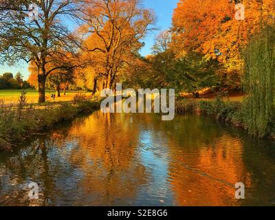 Herbst Farben auf Bäume mit Reflexionen im Wasser eines Kanals Stockfoto
