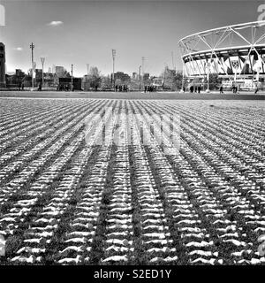 Verkleidungen an der Somme Olympic Park Stratford mit Teil der Olympischen Stadion in der Aufnahme Stockfoto