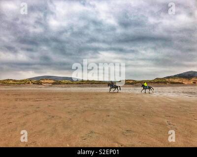 Zwei Pferde und Reiter galoppieren über llangennith Strand, Gower, Wales, November. Stockfoto