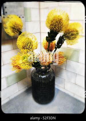 Einheimische Australische Blumen in einer Vase Stockfoto