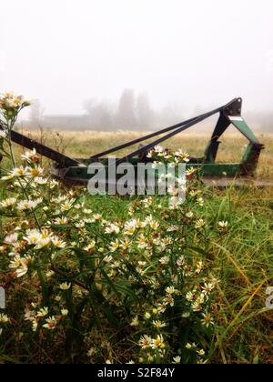 Frost Aster Blüten im Vordergrund der Bauernhof Wiese, mit grünen Traktor Mähen an einem nebligen Herbst Tag in Nord-carolina implementieren Stockfoto