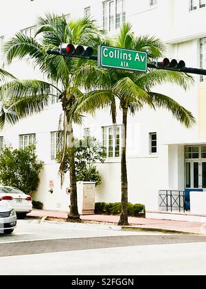 Collins Av-Schild mit Palmen in South Beach Miami, Florida Stockfoto