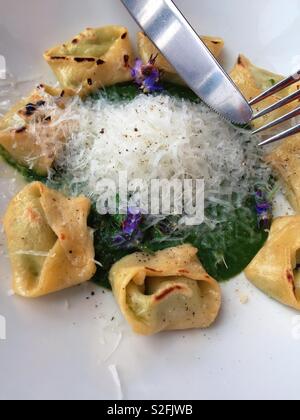 Schwarze Trüffel Tortellini und Pesto ist als Hauptgang in einem gehobenen Restaurant in Manhattan, New York City, USA Stockfoto