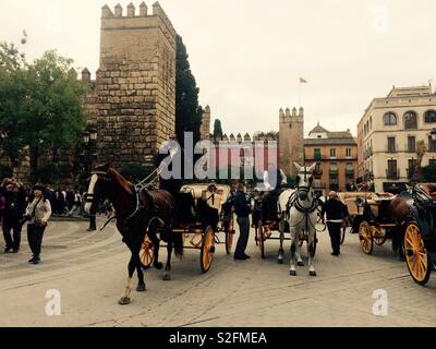 Pferd und Wagen touristische Fahrten im Stadtzentrum von Sevilla in Spanien Stockfoto