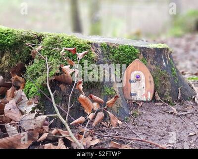 Fee Tür im Wald auf einem Baum stomp Stockfoto