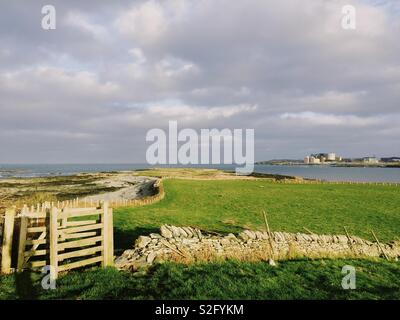 Blick von der Anglesey Coastal Path über Felder und ein Kiesstrand in Wylfa in Cemlyn Bay, North Wales Stockfoto