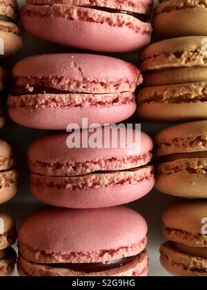 Zeilen von Pastell macarons Stockfoto
