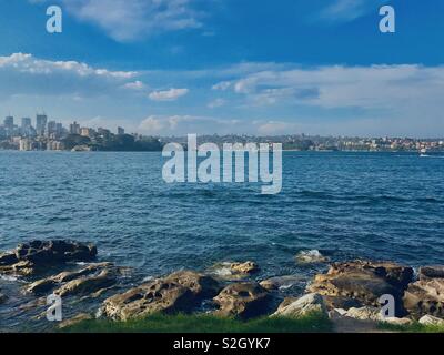 Blick auf die Skyline von Sydney und das Meer vom botanischen Garten in Australien, NSW Stockfoto