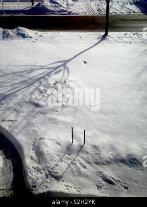 Schatten eines Baumes auf frisch gefallenen Schnee Stockfoto