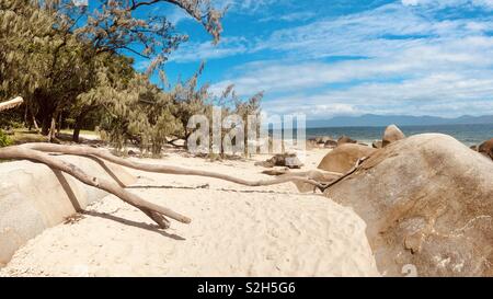 Bäume, Stöcke und Steine auf einem weißen Sandstrand im tropischen Queensland, Australien. Platz kopieren Stockfoto