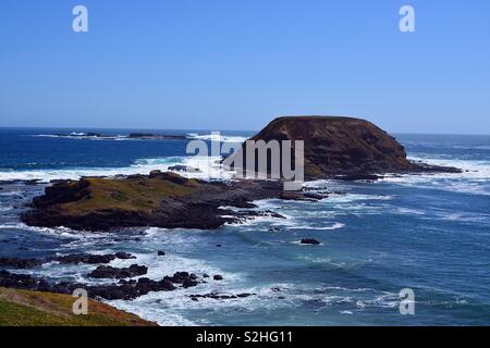 Die nobbies, Philip Island Stockfoto