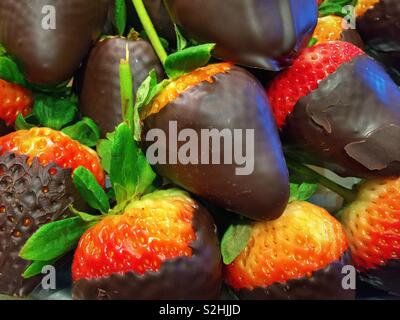 In Schokolade getauchten Erdbeeren zum Verkauf als Valentinstag behandelt, USA Stockfoto