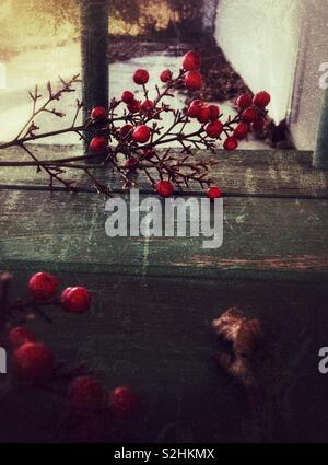 Grunge Effekt in Foto von Green Bank auf der Veranda vor dem Haus mit roten Nandina domestica Beeren Stockfoto