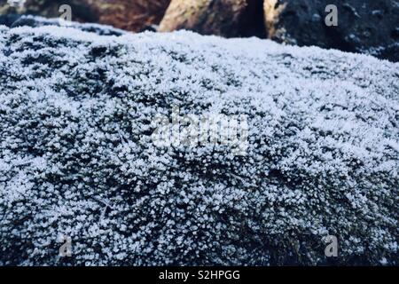 Eiskristalle bilden auf Rock Oberfläche Stockfoto