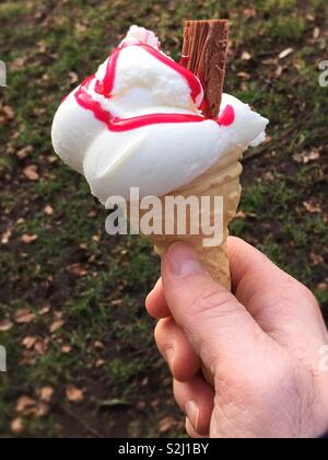Vanilleeis im Park. Schöne Kegel mit einem Flake und Himbeersauce. Perfekte 99 Stockfoto