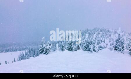 Winter Berge von Schnee bedeckt immergrünen Wald während einem Schneefall. Platz für Text. Stockfoto