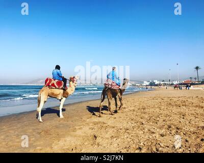 Zwei Männer reiten Kamele am Strand Agadir, Marokko Stockfoto