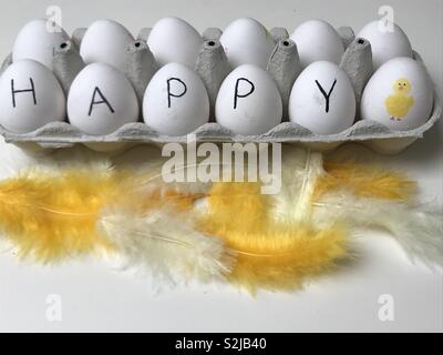 Glückliche Eier in einer Box! Gerne weiße Eier im Karton geschrieben und eine lustige gelbe Huhn ein Ei bemalt. Gelbe Federn vor dem Feld Stockfoto