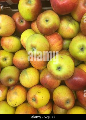 Cox'S Orange Pippin Apfel (Malus doméstica) zum Verkauf in grün Lebensmittelhändler Stockfoto