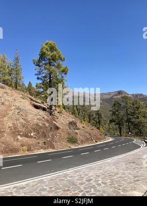 Sunny Road in den Nationalpark Teide, Teneriffa Stockfoto