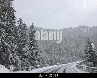 Landschaftlich reizvolle Fahrt durch den Winter Forest, Mount Rainier National Park, Seattle, Washington, USA Stockfoto