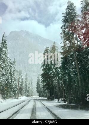 Mount Rainier gesehen von Scenic Drive, Seattle, Washington, USA Stockfoto