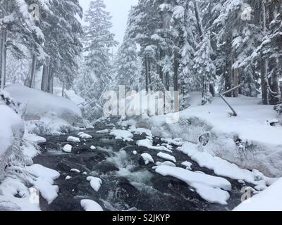 Fluss durch Winter Wonderland, Seattle, Washington, Mount Rainier Stockfoto