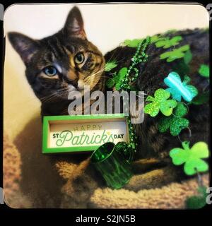 Happy St Patrick's Day Stockfoto