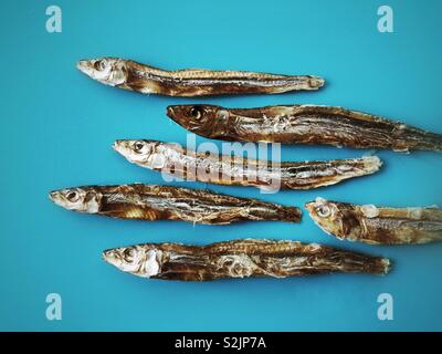 Getrocknete Sardinen auf blauem Hintergrund Stockfoto