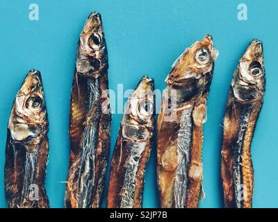 Nahaufnahme der getrocknete Sardinen auf einem blauen Hintergrund Stockfoto