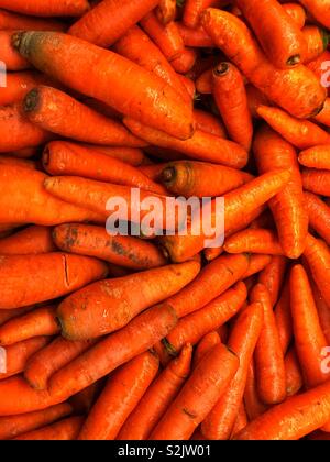 Viele frische Karotten gestapelt hoch, auf dem Bildschirm und zum Verkauf an die lokale Anbieter produzieren. Stockfoto