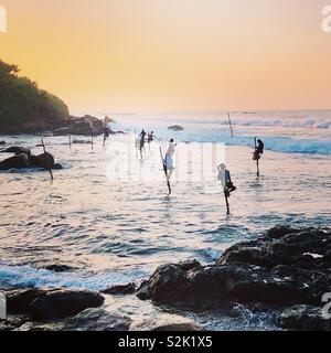 Stelze Fischer in der Morgendämmerung, Gurubebila Strand, Welligama, Sri Lanka Stockfoto