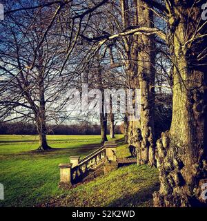 Einen ruhigen Blick auf eine klassische, englische Park land Garten, mit einem dekorativen Treppe der Baumgrenze mit den Rasen zu verbinden. In den Cotswold, UK. Stockfoto