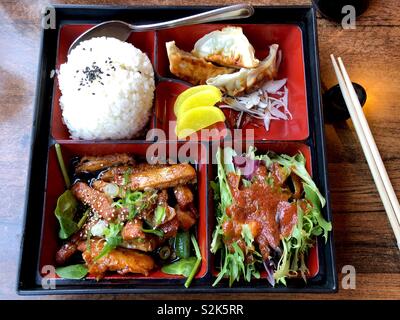 Ein gutes Mittagessen - eine japanische Bento Box, mit Teriyaki Huhn und goyoza Knödel. Stockfoto